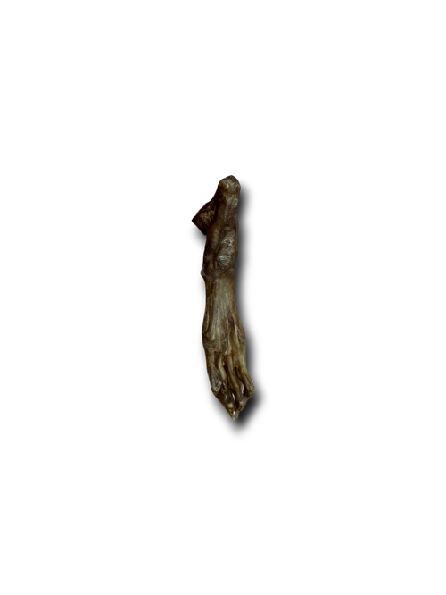 Anco | Hairy Rabbit Feet