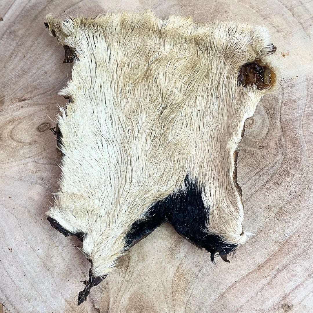 Nova | Hairy Beef Skin XL