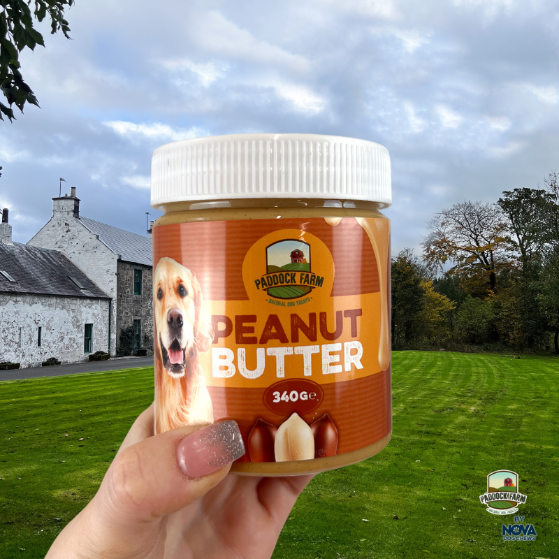 Paddock Farm | Peanut Butter 340g
