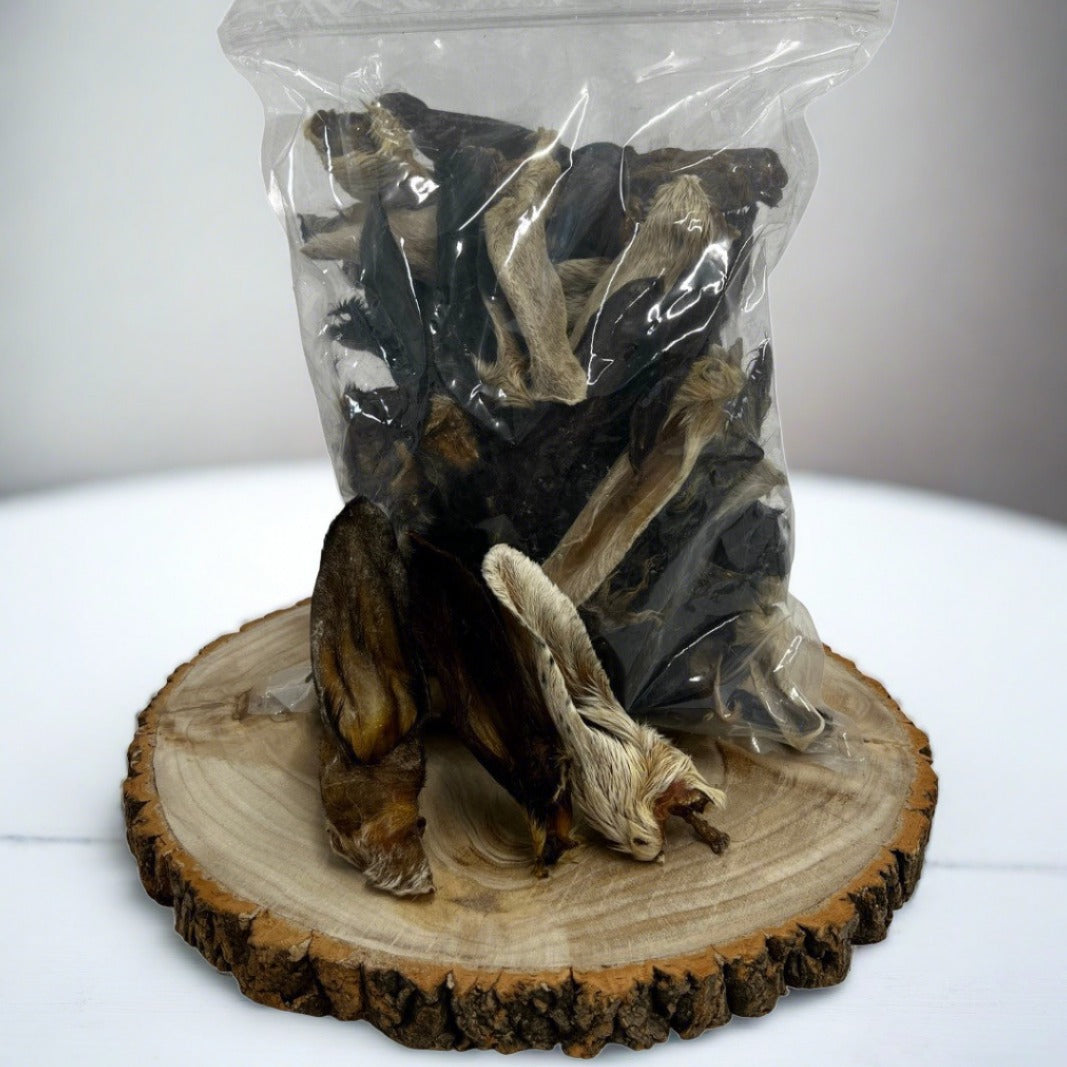 Nova | Hairy Lamb Ear