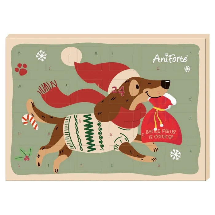Aniforte Advent Calendar