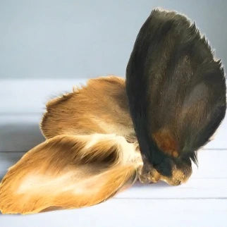 Nova | Hairy Cow Ear