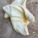 Nova | White Puffed Pig Ear