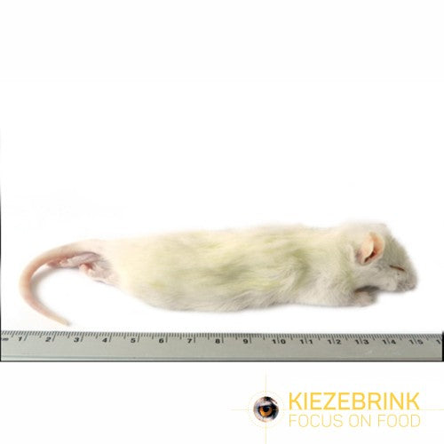 Kiezebrink | Whole Weaner Rats