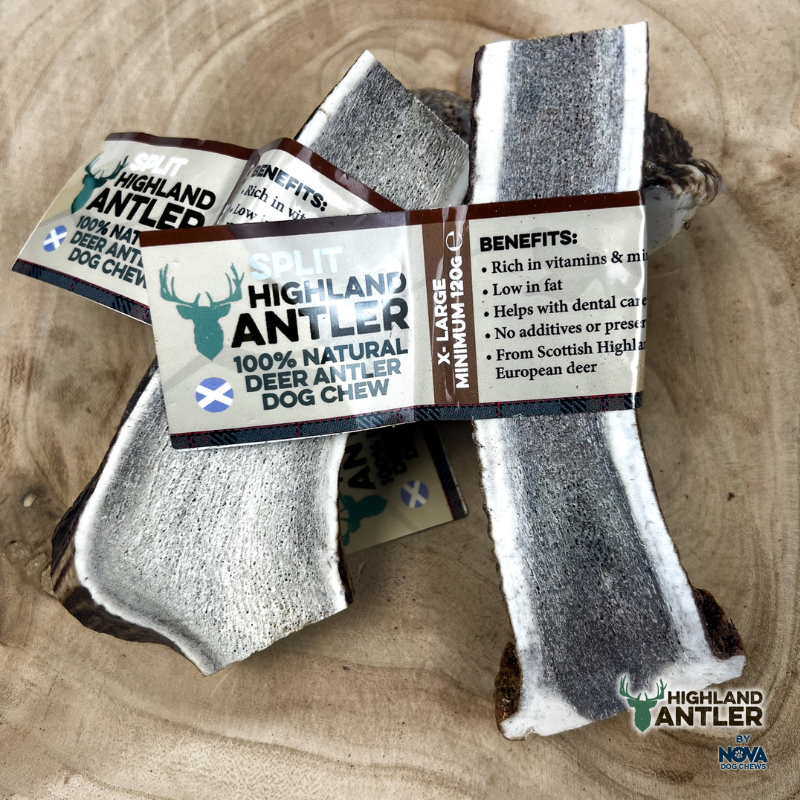 Highland Antler | Split Deer Antlers