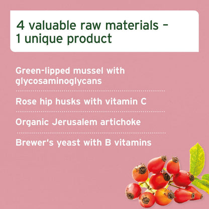 Aniforte | 4in1 Complete for dogs - Advanced Health Supplement 250g