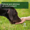 Aniforte | 4 in 1 Snack 50g