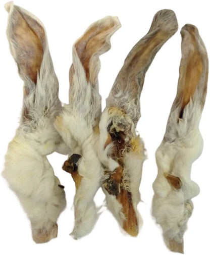 Dried Hairy Rabbit Ears