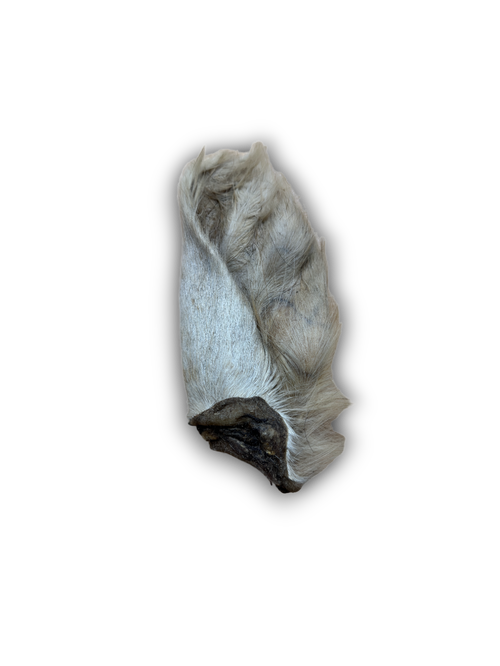 Anco | Hairy Cow Ear