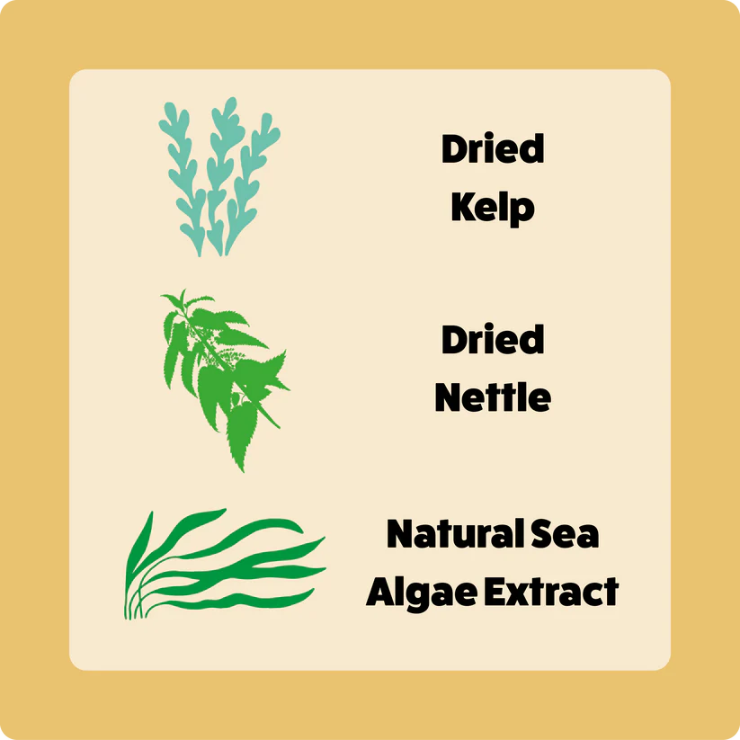 Axel's Elixir | Turkey Happy Bones