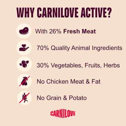 Carnilove | Active Dog Salmon & Turkey
