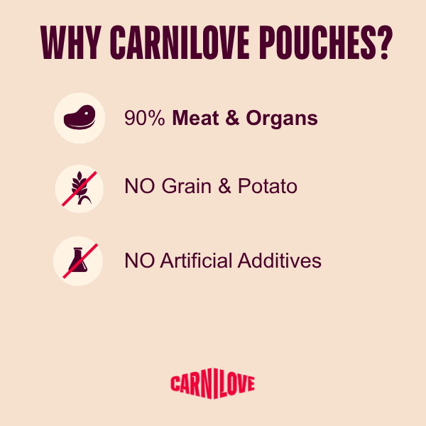 Carnilove | NEW Gravy Pouch Rich in Trout with Echinacea for Cats 85g