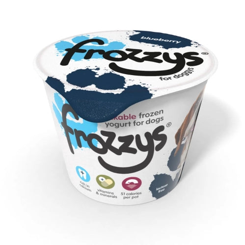 FROZZYS | Blueberry Frozen Yogurt 85g