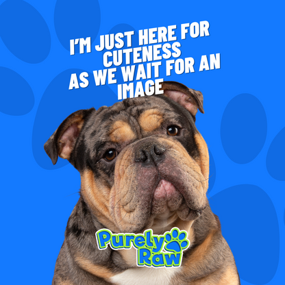 Dougie's | Minces 80:10:10 560g (4x140g)