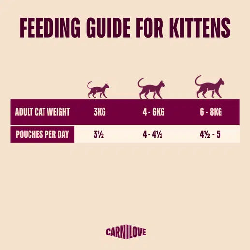 Carnilove | NEW Gravy Pouch Rich in Rabbit for Kittens 85g