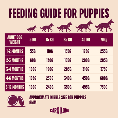 Carnilove | Active Dog Salmon & Turkey Puppy