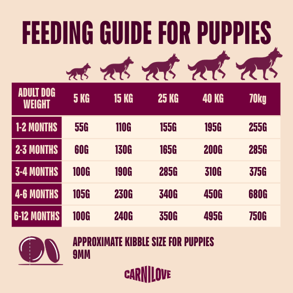 Carnilove | True Fresh Duck Puppy Food