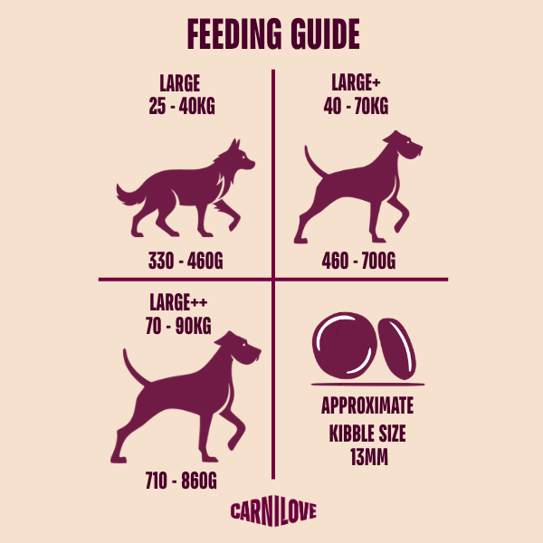 Carnilove | Active Dog Large Breed Salmon & Turkey