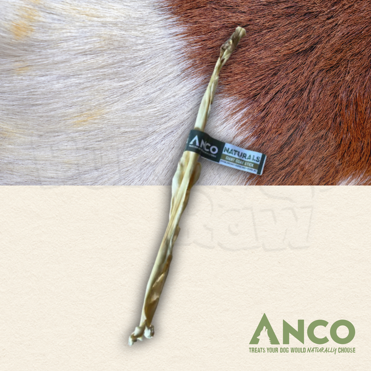 Anco | GIANT Goat Stick