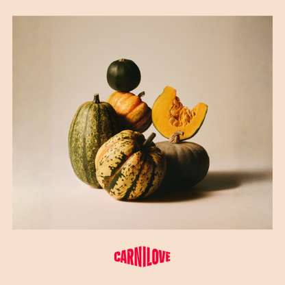 Carnilove | Active Dog Venison & Reindeer & Wild Boar