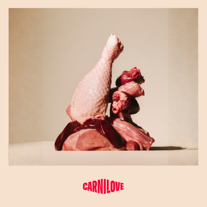 Carnilove | Active Dog Salmon & Turkey Junior Large Breed