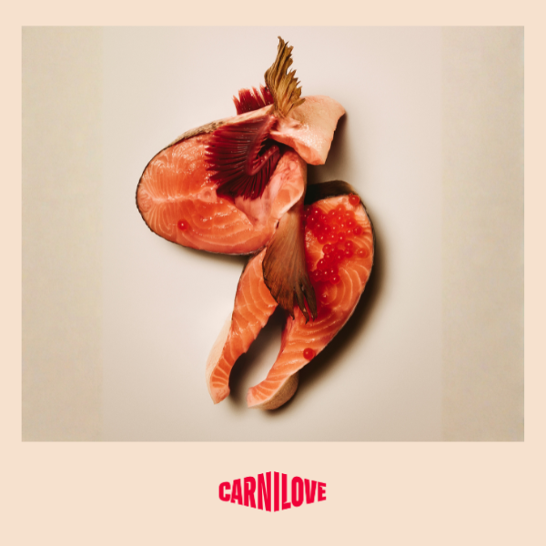 Carnilove | Active Dog Large Breed Salmon & Turkey