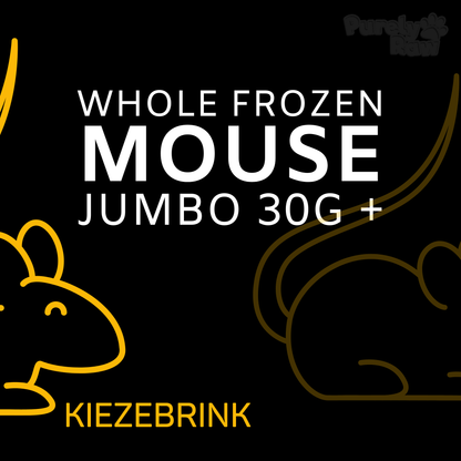 Kiezebrink | Whole Mouse & Mice