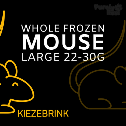 Kiezebrink | Whole Mouse & Mice