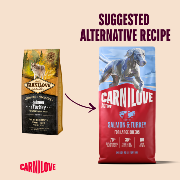 Carnilove | Active Dog Large Breed Salmon & Turkey