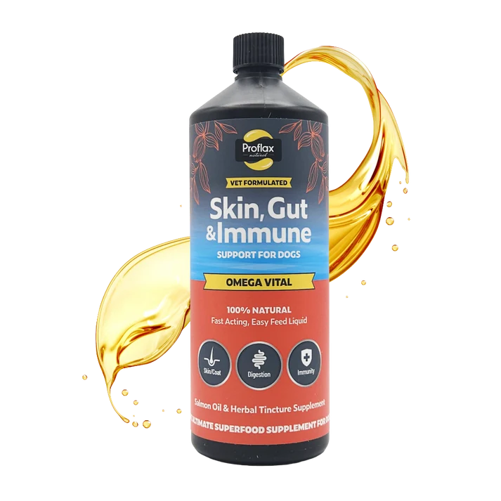 Proflax | Omega Vital Salmon Oil for Skin & Gut Health For Dogs