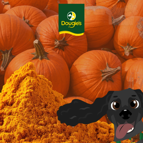 Dougie's | Pumpkin Powder 180g