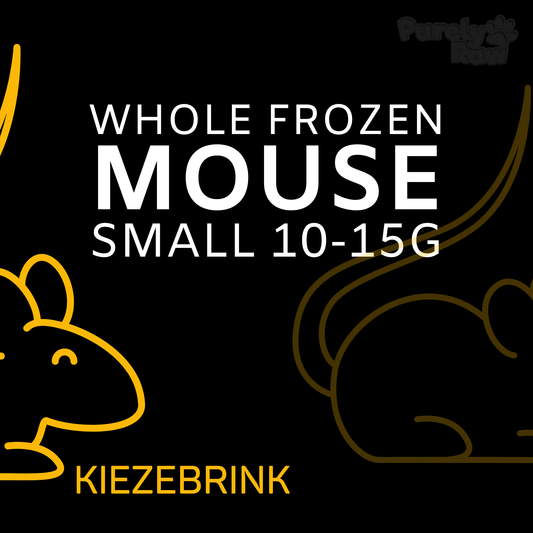 Kiezebrink | Whole Mouse & Mice