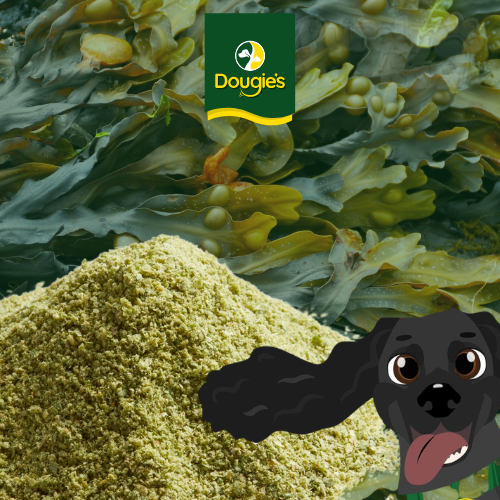 Dougie's | Seaweed Meal 300g