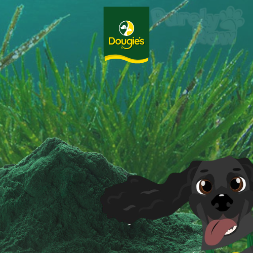 Dougie's | Spirulina Powder 125g