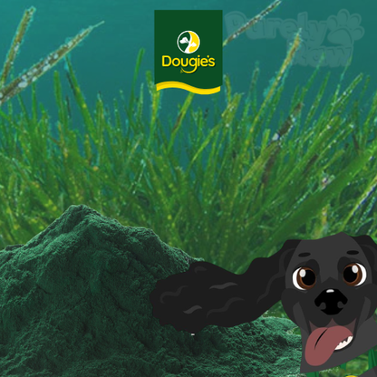 Dougie's | Spirulina Powder 125g