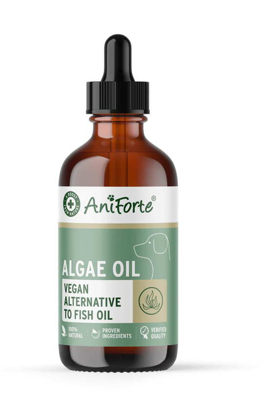 Aniforte | Algae Oil 50ml