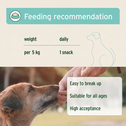 Aniforte | Dental Snack
