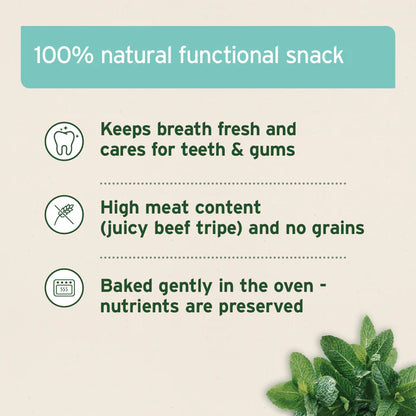 Aniforte | Dental Snack