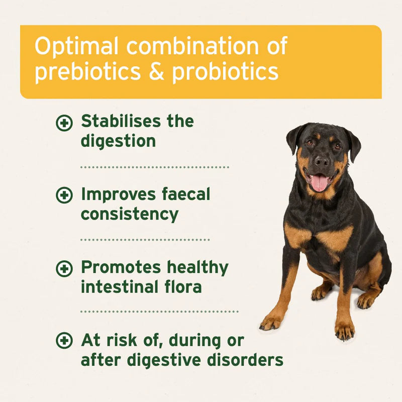 Aniforte | Probiotic Tablets x 90