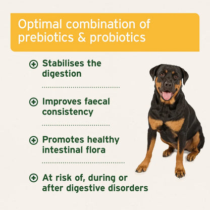 Aniforte | Probiotic Tablets x 90