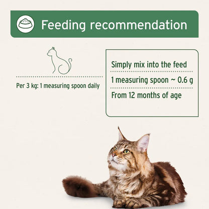 Aniforte | Feline Complete  - Raw Cat Food Supplement 100g