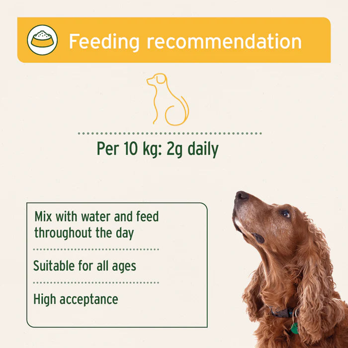 Aniforte | Digestox 500g - Supports Body Detoxification