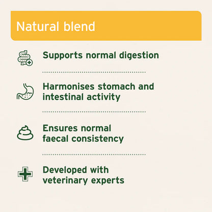 Aniforte | Digestox 500g - Supports Body Detoxification