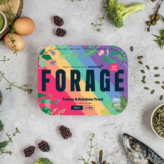 Naturaw | Forage Turkey & Rainbow Trout 500g