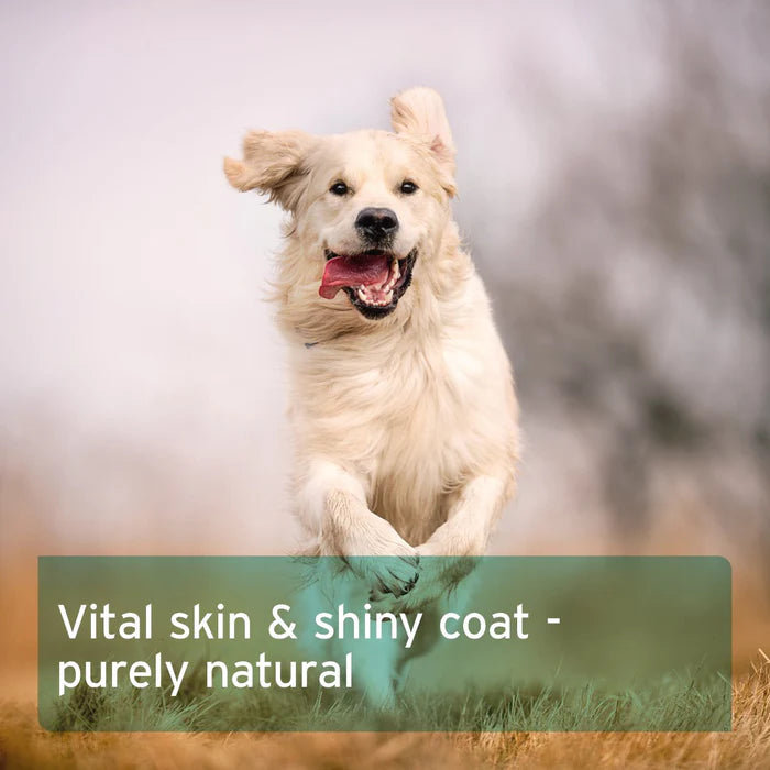 Aniforte | Fur Harmony Vital Powder - Natural Skin & Coat 250g