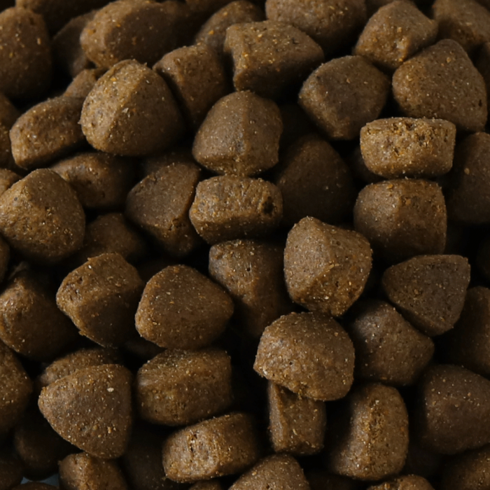 Millies Wolfheart | 60/40 Gamekeeper Mix