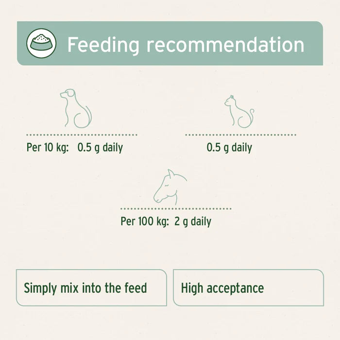 Aniforte | Green Lipped Mussel Powder for Dogs & Cats - Joint Support 250g