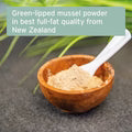 Aniforte | Green Lipped Mussel Powder for Dogs & Cats - Joint Support 100g