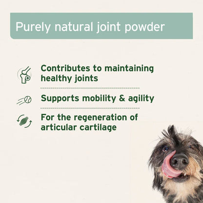Aniforte | Green Lipped Mussel Powder for Dogs & Cats - Joint Support 250g