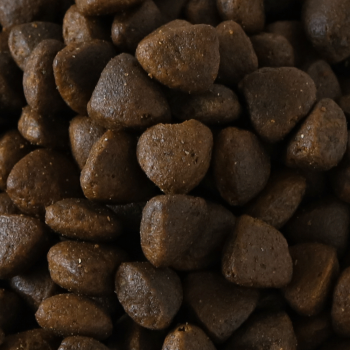 Millies Wolfheart | 65/35 Peak Performance